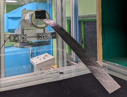 A flexible wing specimen mounted in the wind tunnel
